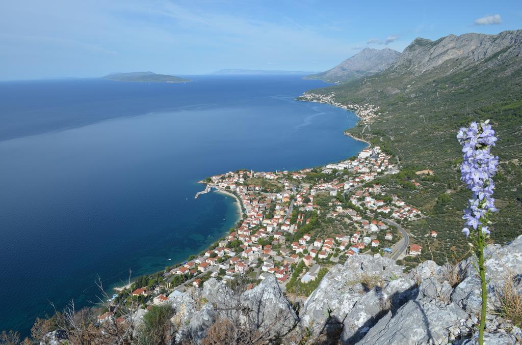 Apartments Palma Gradac  Bilik gambar